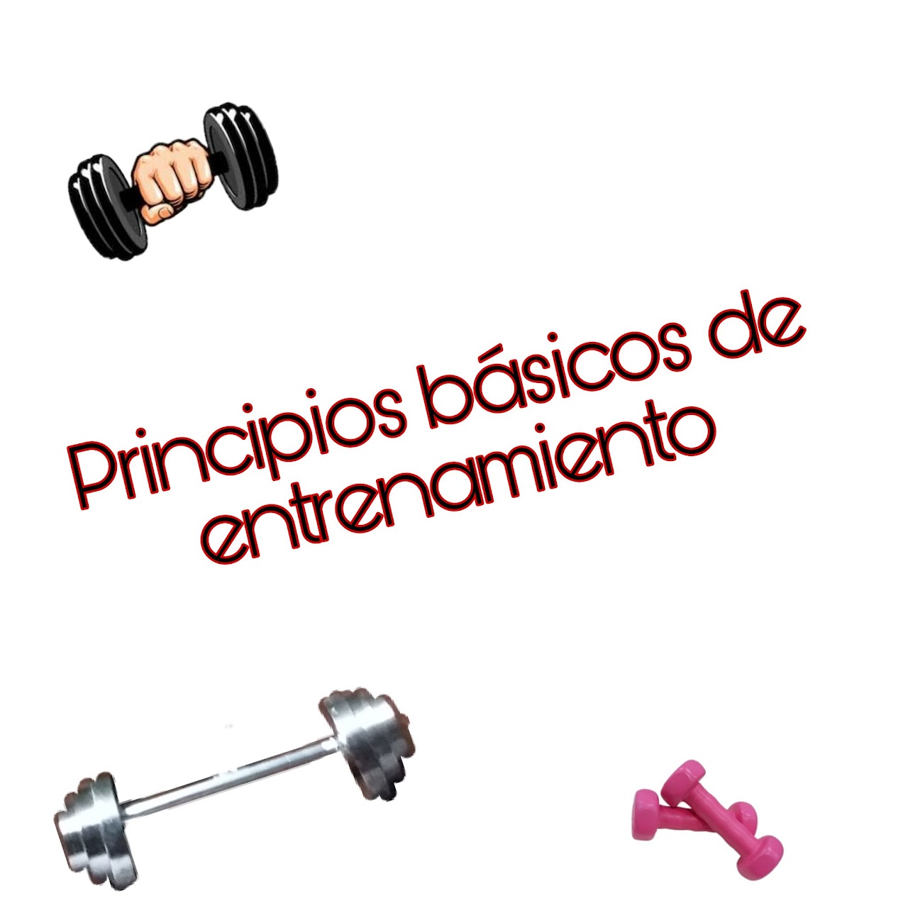 Imagen 9